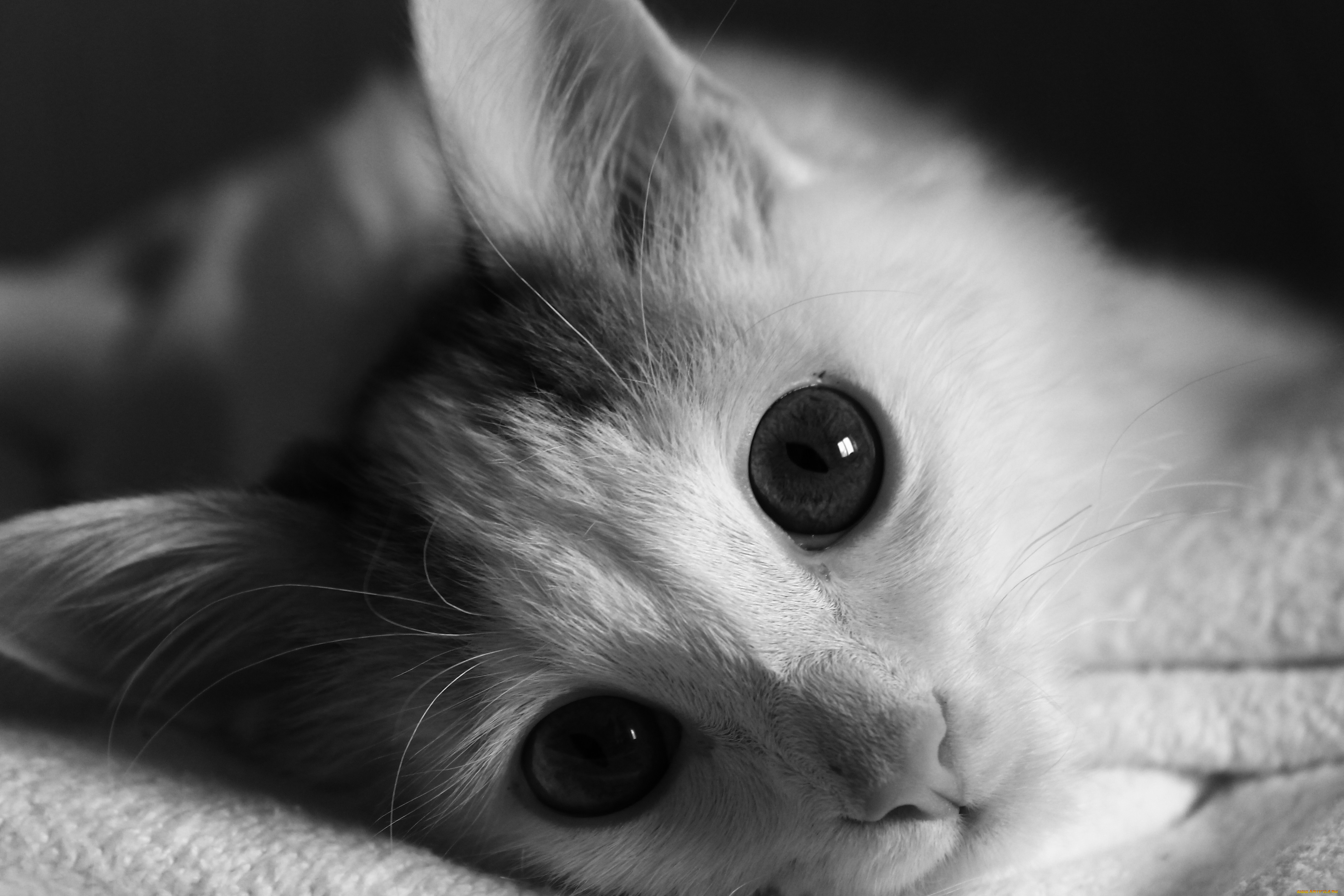 , , , , , 